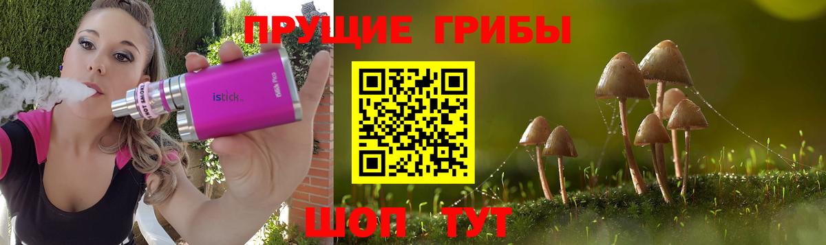 Псилоцибиновые грибы мицелий  Вход с VPN  Сыктывкар 